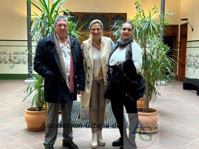 susana-fabregat-agcs Reunión Delegada del Consell de Castellón