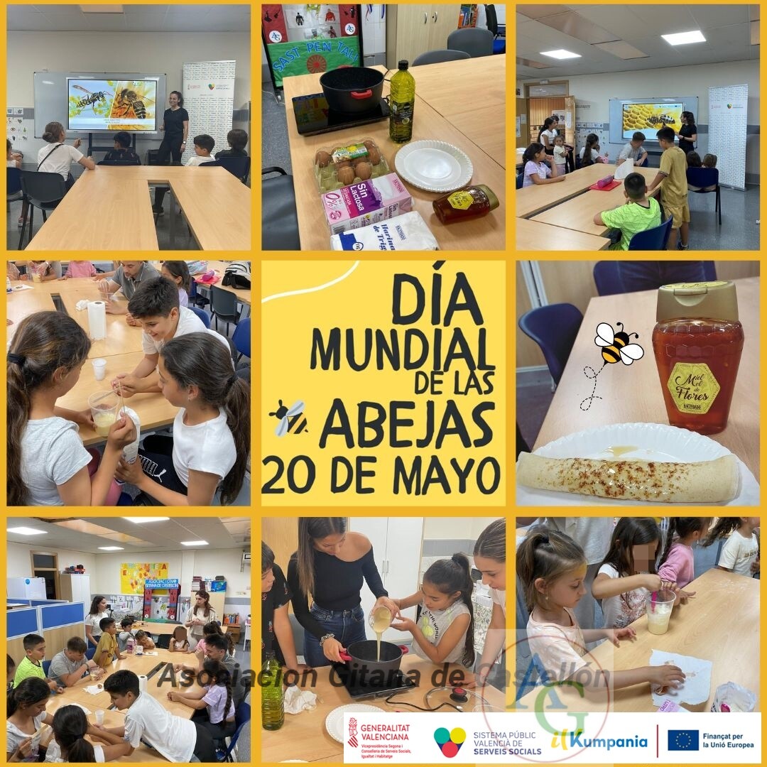 dia-mundial-abejas2024 Día mundial de las abejas 2024