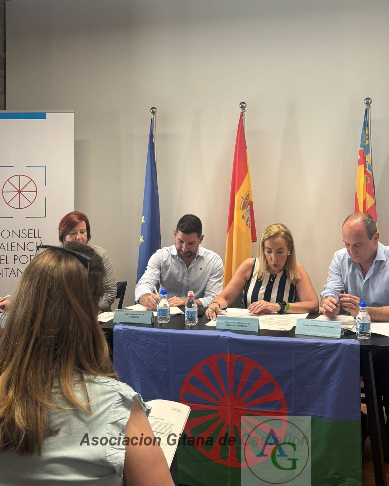 Consejo Valenciano Pueblo Gitano 2026